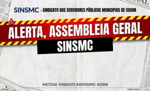 sinsmc
